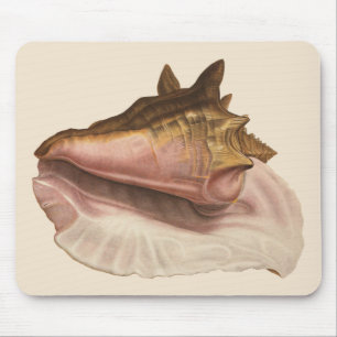 Queen Conch Shell Seashell, Vintage Marine Life Mouse Pad
