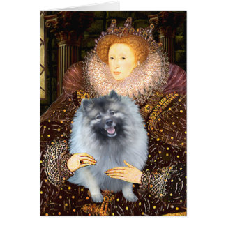 Queen Ellizabeth I - Keeshond (F)