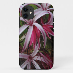 Queen Emma's Purple Crinum Lily Case-Mate iPhone Case