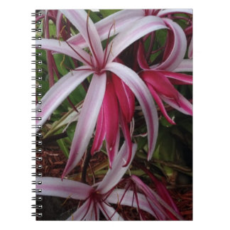 Queen Emma's Purple Crinum Lily Notebook