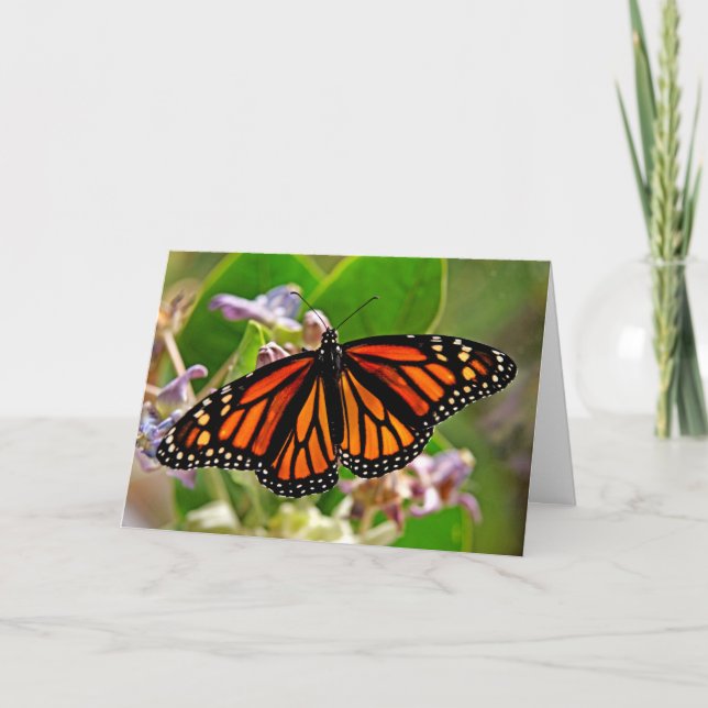 Queen of Orange Card (Front)