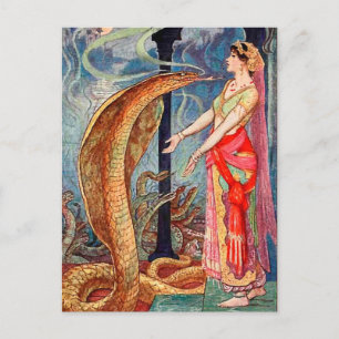 Queen of Snakes Postcard