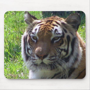 Queen of the Jungle Mouse Pad