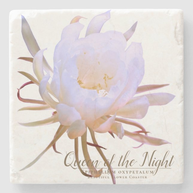 Queen of the Night コースター Stone Coaster (Front)