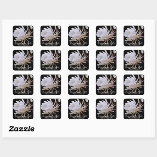 Queen of the Night スクエアシール Square Sticker