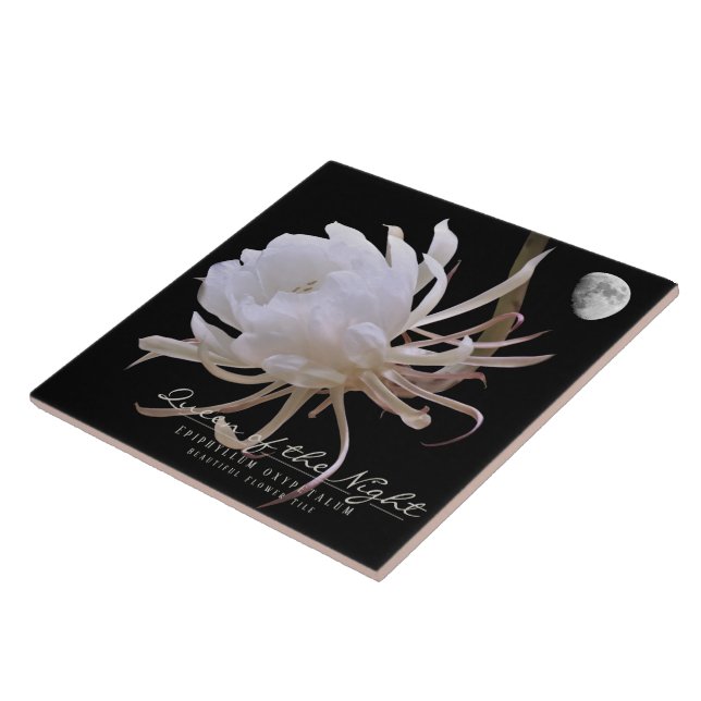 Queen of the Night タイル Tile (Side)