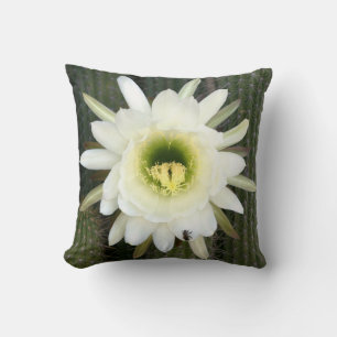 Queen Of The Night Cactus Flower, Karoo Region Cushion