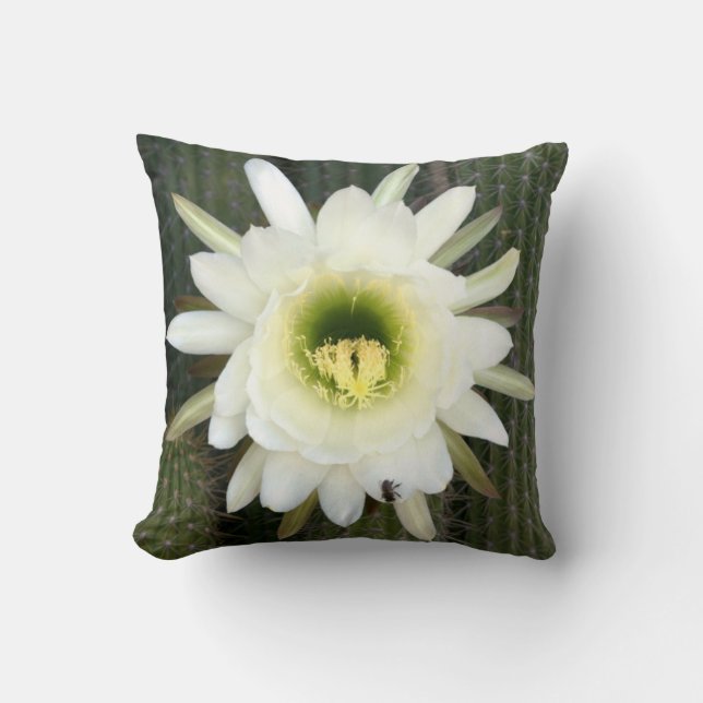 Queen Of The Night Cactus Flower, Karoo Region Cushion (Front)