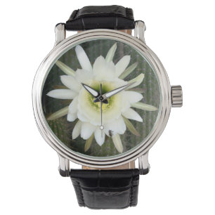 Queen Of The Night Cactus Flower, Karoo Region Watch