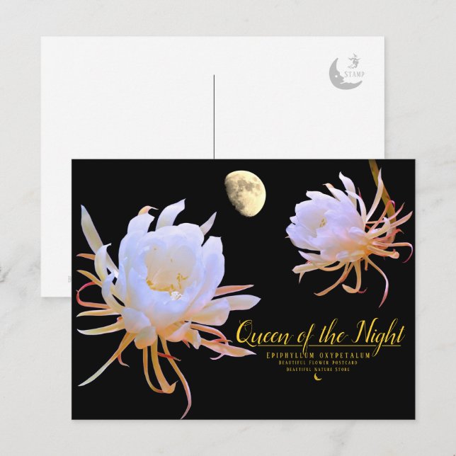 Queen of the Night Postcard (Front/Back)