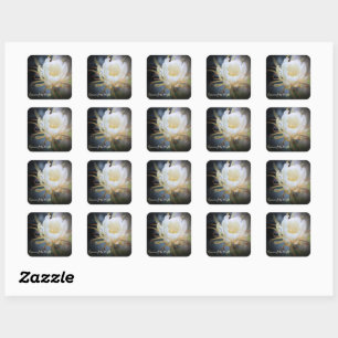 Queen of the Night:Square Seal