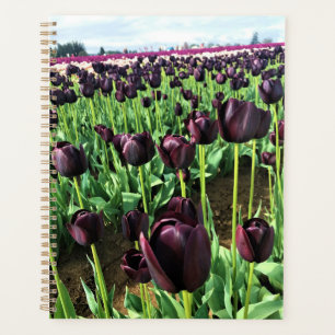 Queen of the Night Tulips, Oregon Planner