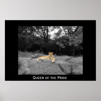 Queen of the Pride Poster