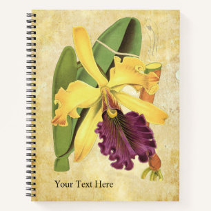 Queen Orchid Notebook