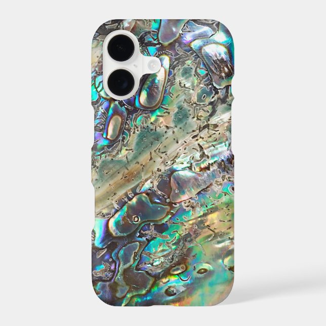 Queen paua shell (Back)