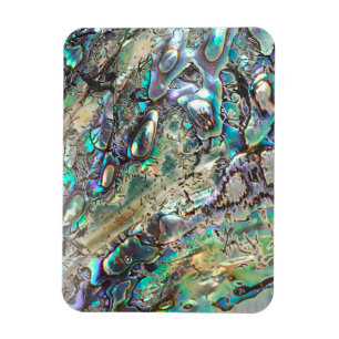 Queen paua shell magnet