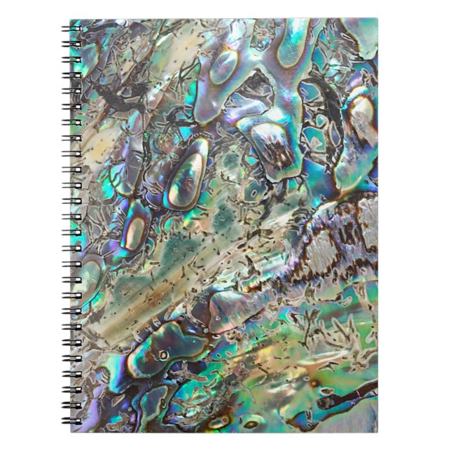 Queen paua shell spiral notebook (Front)