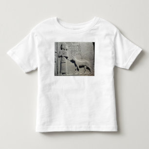 Queen Tuwarissa, wife of King Araras Toddler T-Shirt