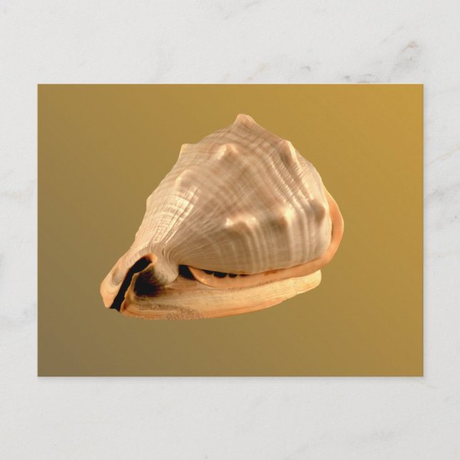 Queens Helmet Postcard (Front)