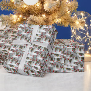 Queens Scattered Poker Cards, Giftwrap Paper