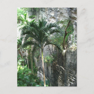 Queen's Staircase Postcard