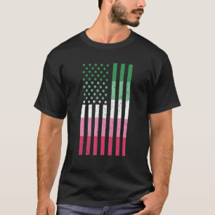 Queer Abrosexuality Usa Flag Lgbt Pride Patriotic  T-Shirt