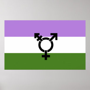 Queer - Gender Queer Pride Poster