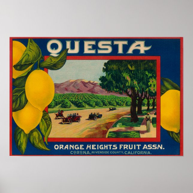 Questa Lemon LabelCorona, CA Poster (Front)