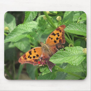 Question Mark Butterfly on Lantana Mouse Pad