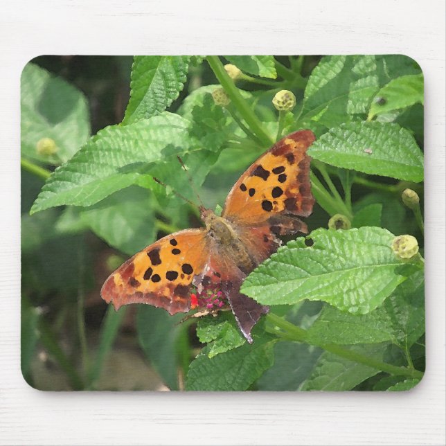 Question Mark Butterfly on Lantana Mouse Pad (Front)