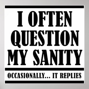 Question My Sanity Funny Poster