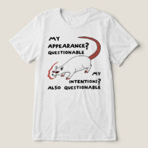 Questionable Appearance And Intentions