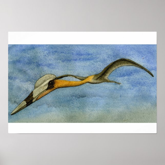 Quetzalcoatlus Print (Front)