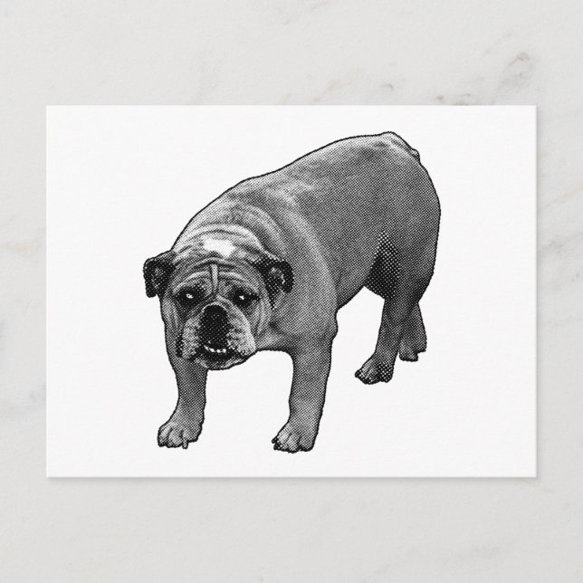 Quick Cheer Bulldog Postcard (Front)