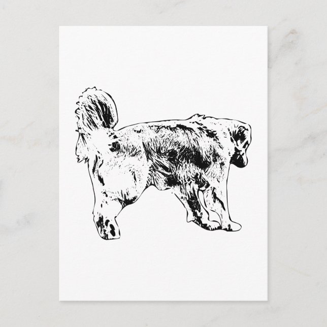 Quick Hello, Golden Retriever Postcard (Front)