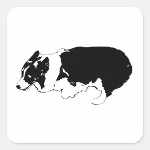 Quick paws, big grin square sticker