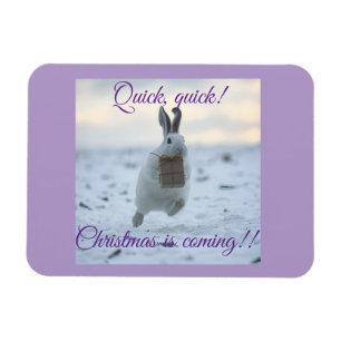 Quick, quick Christmas is coming! Magnet