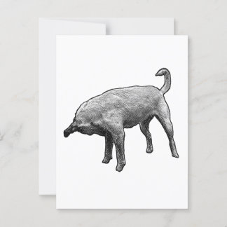 Quick Turn, Quick Note Postcard