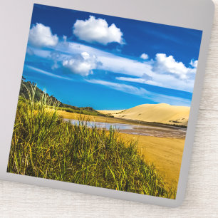 Quicksand stream near 90-Mile Beach, New Zealand