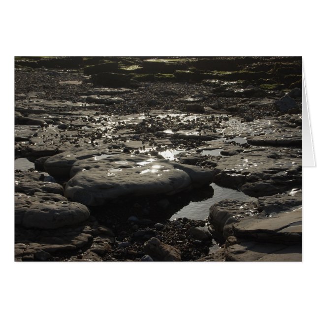 Quicksilver (Front Horizontal)