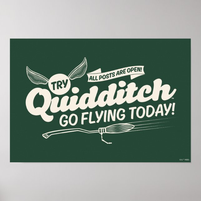 QUIDDITCH™ Recruitment Poster (Front)