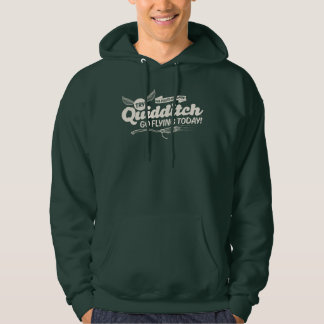 QUIDDITCH™ Recruitment Poster Hoodie