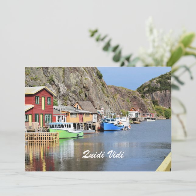 Quidi Vidi, Newfoundland (Standing Front)