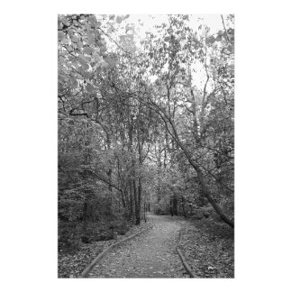 Quiet Autumn Forest Path– B & W Nordic Editon Photo Print