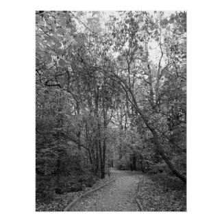 Quiet Autumn Forest Path– B & W Nordic Editon Poster