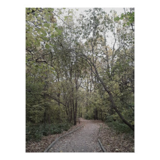 Quiet Autumn Forest Path – Scandinavian Edition Poster