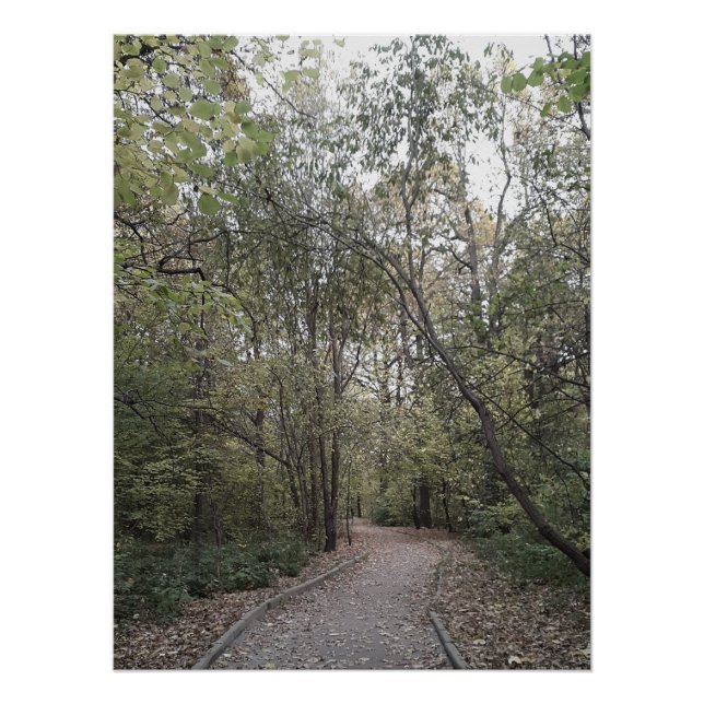 Quiet Autumn Forest Path – Scandinavian Edition Poster (Front)