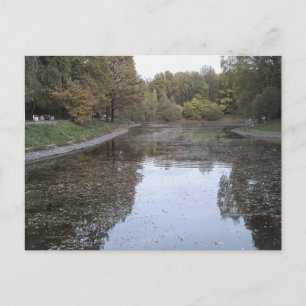Quiet Autumn Lake – Scandinavian Edition Postcard