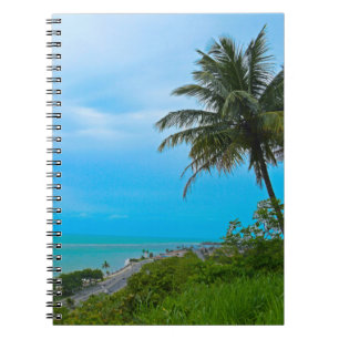 Quiet beach with coconut tree notebook