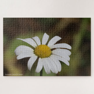 Quiet Bloom – Great Smoky Mountains Daisy Jigsaw Puzzle